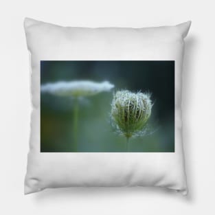 Stages ~ flower & seedpod Pillow