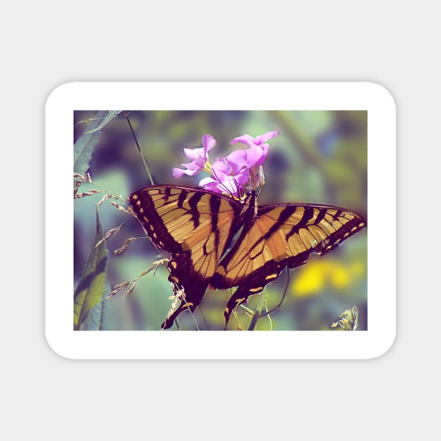 Yellow Swallow Tail Butterfly Magnet by saradaboru