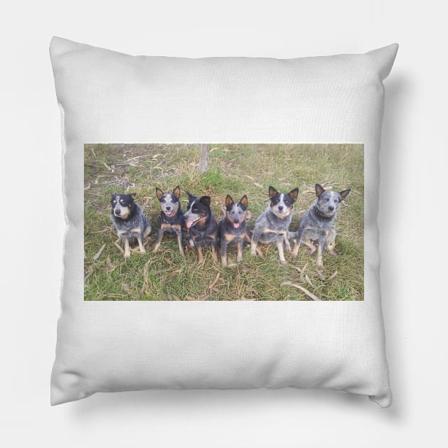 ali pack together Pillow by pcfyi