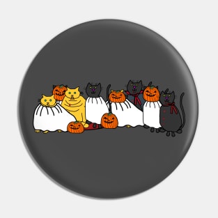 Horror Cats of Halloween Pin