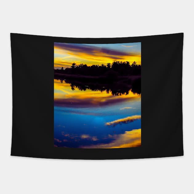 Aesthetic sunset Tapestry by IOANNISSKEVAS