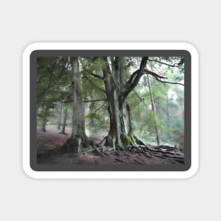 Back Forest Staffordshire. Peak District. Countryside Hiker landscape Magnet