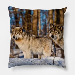 Grey Wolves Pillow