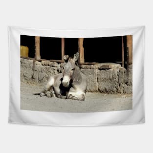 Wild burros, donkeys, wildlife, Restless Spirit Tapestry