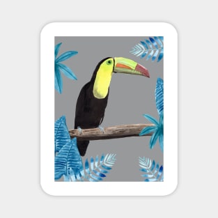 Toucan with tropical leaves and an ultimate gray background Magnet