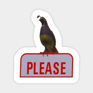 PLEASE Said the Quail Magnet