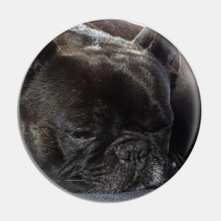 French Bully Pin