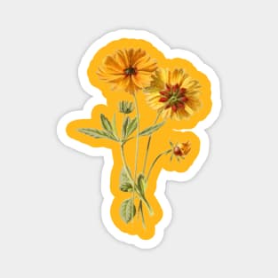 Sunflower Birthday Magnet