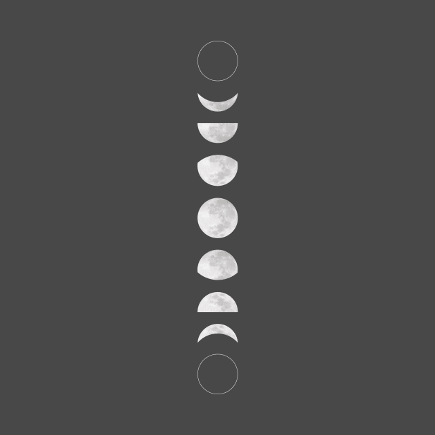 Phases of the Moon - Vertical by Creation247