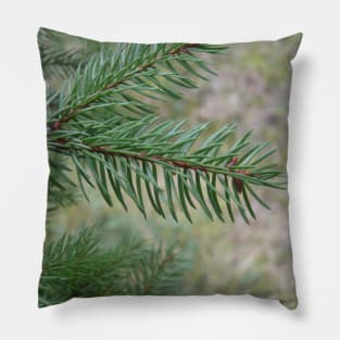 Spruce Pillow