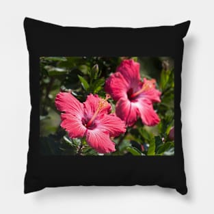 Hibiscus III Pillow