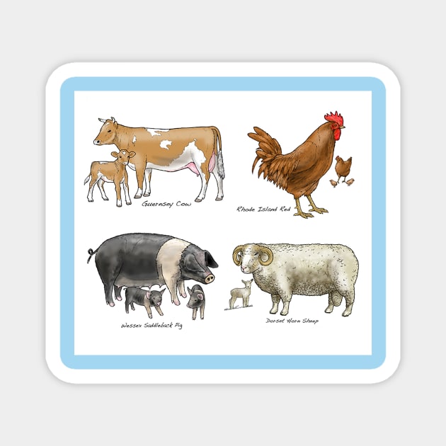 Farm Animals Magnet by davidroland