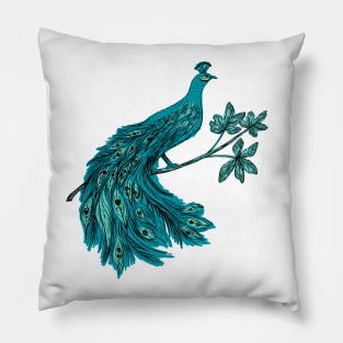 Turquoise Peacock Pillow