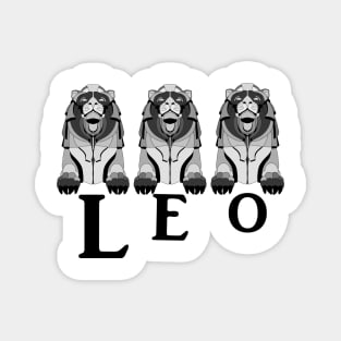 Leo Magnet