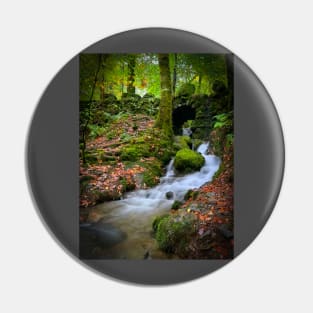 Lake District Waterfall Pin