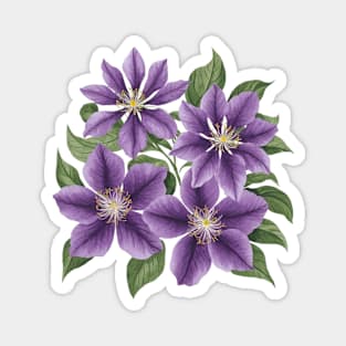 Vintage Purple Clematis Flower Botanical Magnet