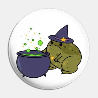 Witchy toad Pin