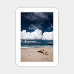 Beach driftwood and dark blue sky Magnet