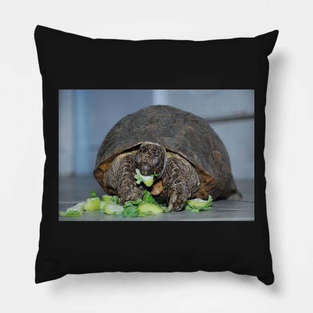 The Lettuce Didn't Stand A Chance Pillow by RichardGibb