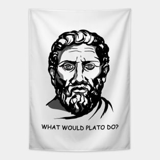 What would plato do? Tapestry