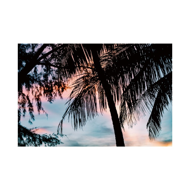 Sunset Palm Trees by NewburyBoutique