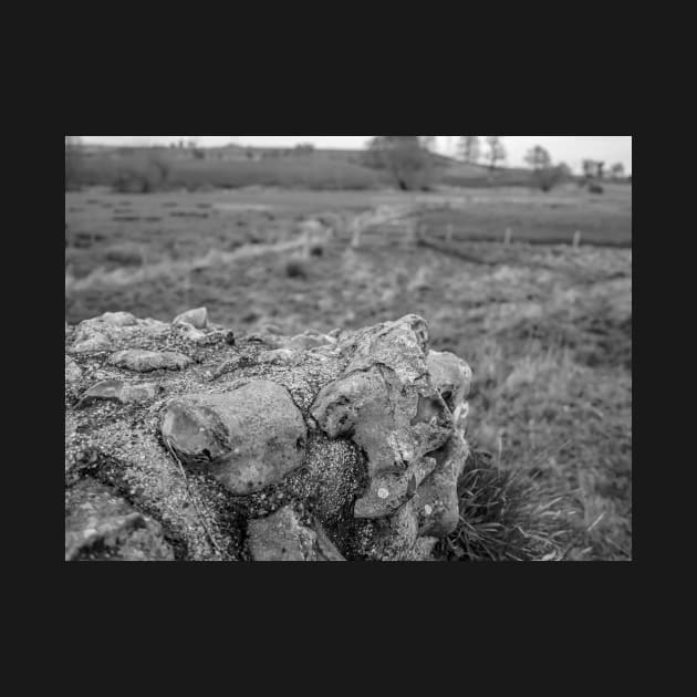 Ancient stone wall at a historical Roman camp in rural Norfolk, UK by yackers1