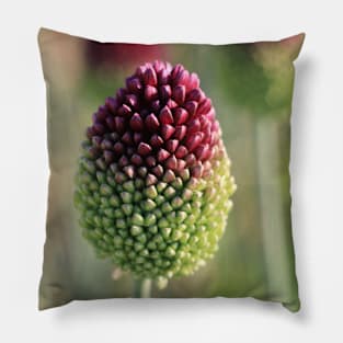 Flowerpower Pillow