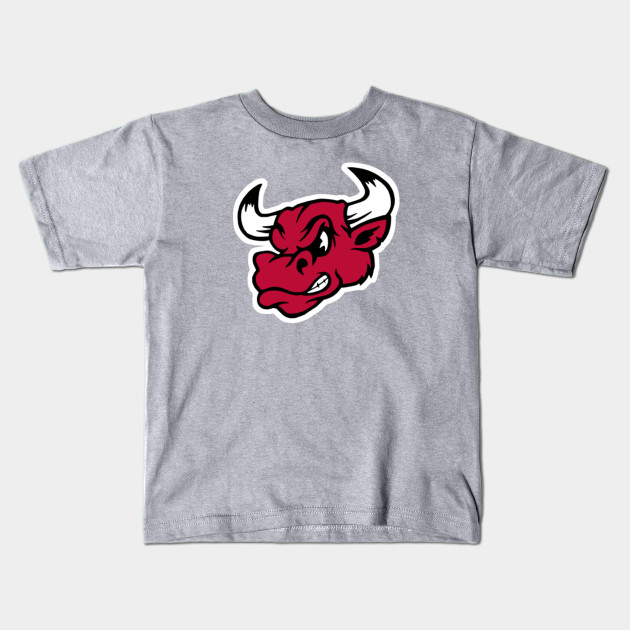 kids bulls shirt