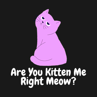 Are You Kitten Me Right Meow Angry Cat T-Shirt