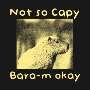 Not so Capy-Baram okay T-Shirt