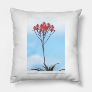 Tall Flowering Aloe Pillow