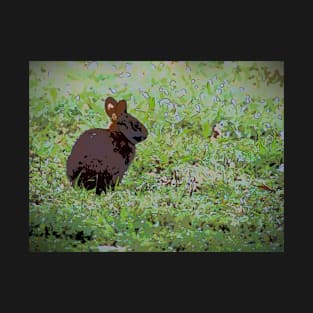 Sitting Bunny in Field T-Shirt