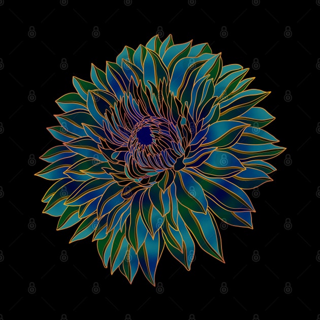 Colorful Chrysanthemum flower by DaveDanchuk