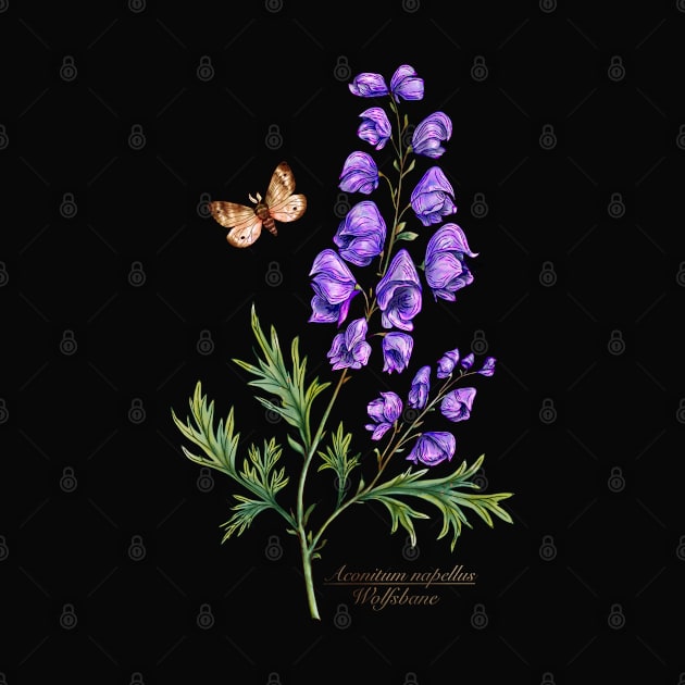 Monkshood garden flowers by Sitenkova