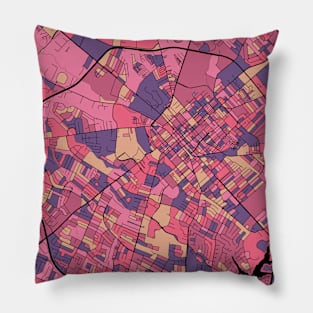 Lexington Map Pattern in Purple & Pink Pillow