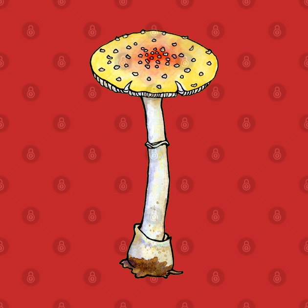 Fly Agaric by ThisIsNotAnImageOfLoss