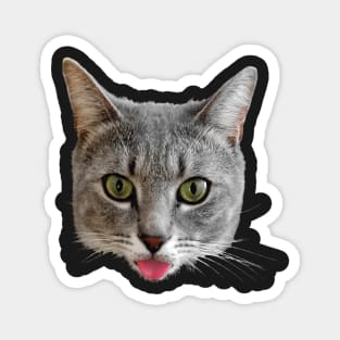 Baxter - Cat with Tongue Stuck Out Magnet