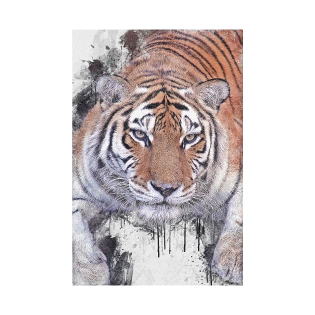 Tiger Wild Animal Safari Africa Jungle Feline by Cubebox