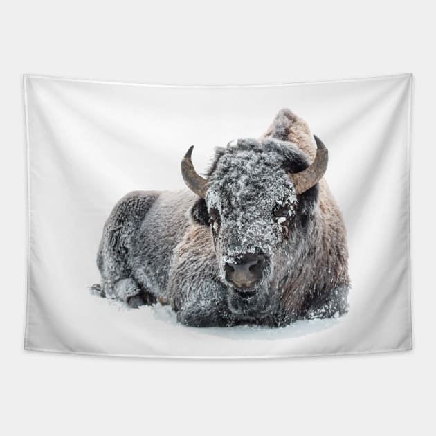 Image: Bison in snow Tapestry by itemful