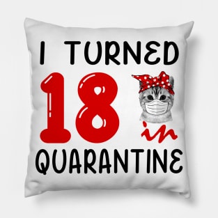 I Turned 18 In Quarantine Funny Cat Facemask Pillow