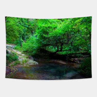 Scenery in Sarnano near Pozze dell'Acquasanta with water, trunks, foliage, sunlight Tapestry