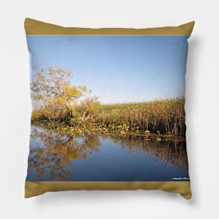 Marsh Reflection - Point Pelee National Park, Ontario, Canada Pillow