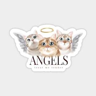 Kitten angels with angels slogan Magnet