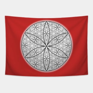 Dimensional Flower of Life - On the Back of Tapestry