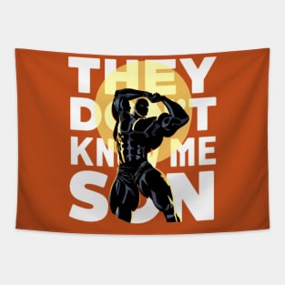 They Don't Know Me Son Tapestry