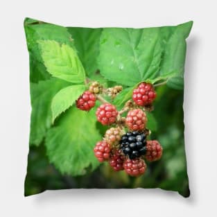 Berries Fresh Off the Vine Pillow