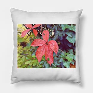 Autumn leaves in a Swiss forest Pillow