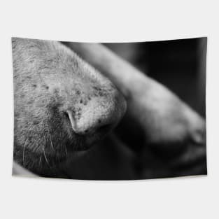 Black and White Dog Nose Tapestry