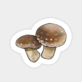 Shitake Mushrooms Magnet