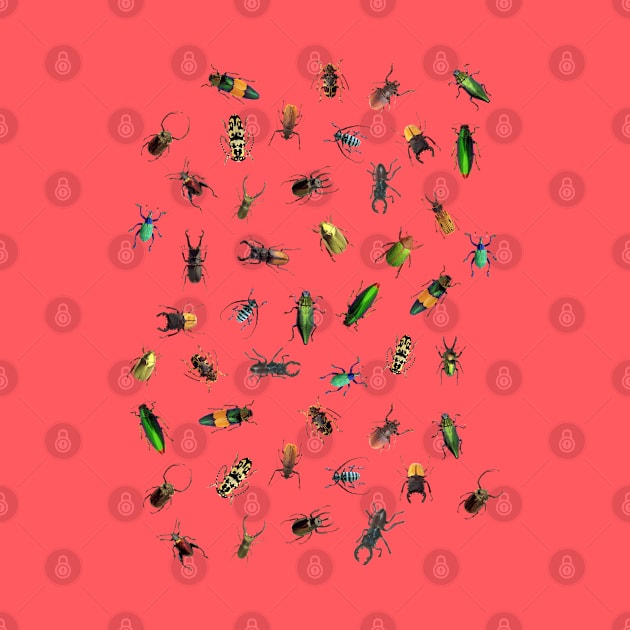 Beautiful Different Real crawling BUGS Pattern by EDDArt